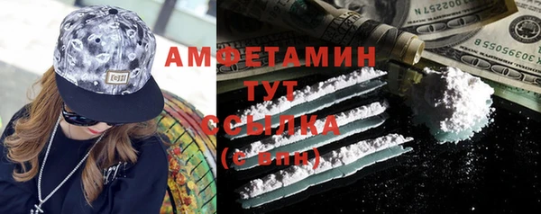 прущие грибы Слюдянка
